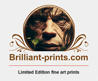 brilliant prints, fine art limited edition prints logo